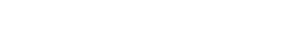 Støttet af Danmarks Innovationsfond